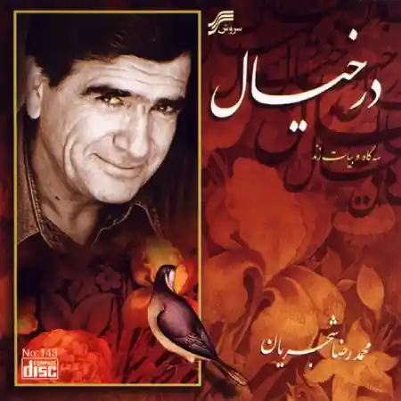 تصنیف شاد در خیال از محمدرضا شجریان